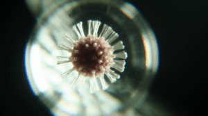 Research Area A: Homeostatic Adaptation