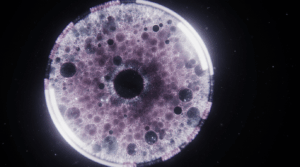 Research Area C: Remission